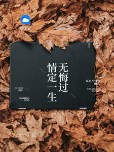 沈曼歌叶南玹免费阅读免全文无弹窗书香阁