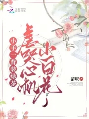 С��һ��װ�̲裬Ű���Ļ�С�׻�