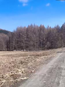 �ĺ�Ժ֮���������Ǵ��ʱ���