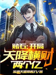 ��ʯ�������콵���������