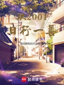 �����2001����һ��